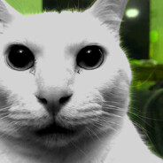sang tiède avatar