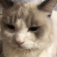 让你挤，死号了吧哈哈