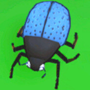 Fungus Beetle