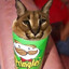 cat island president