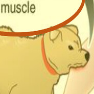 Dog That Bites Muscle