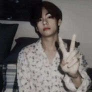 爱抓女鬼的小旗子