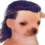 grig