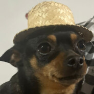 Muriçoca
