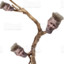 Just a FUNNY branch