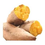 阿扁elephant多錢