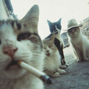 Steam Community Avatar