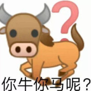 我是大牛吗
