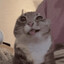 bKr