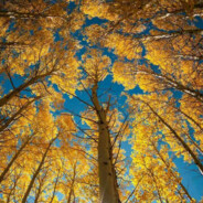 有没有火点根烟