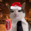 Jack_cat