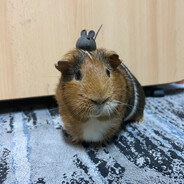 RATONASU79_MARIJUANA