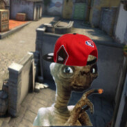 AraqZ