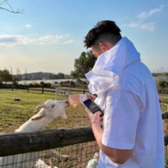 淋雪也算共白头