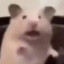 peepo