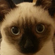 Zarif