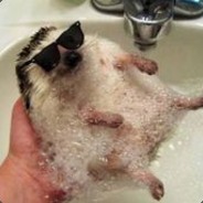I'm HedgeHog