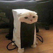 打不过也跑不过