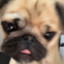 LuTwice's avatar