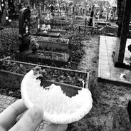 Панда кунфу