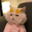 Noobylina
