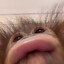 123