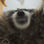3asT