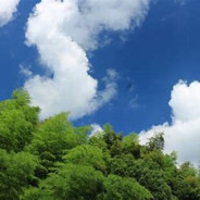 胡桃率先开喷az