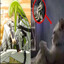 Avatar of player импeратoр инцелoв