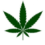 ℍ𝕚𝔾𝕙•𝔻𝕚𝕟i