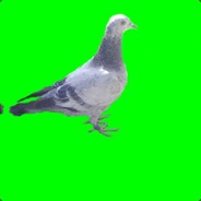 CSGO周年庆#牌来！