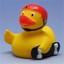 Skateduck