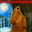 Bear in the Big Blue House