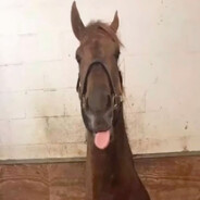 Gallops