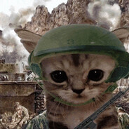 katyshkatm avatar