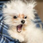 Atrus