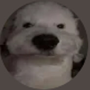lalalalala's avatar