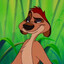 Timon