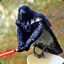 DarthBirdy3