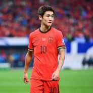 果篮战神韦世豪