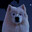 Renny avatar