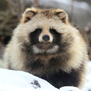 Tanuki