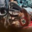 Meth Raccoon