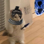 ThePoyoBoyo