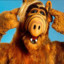 Alf