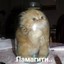 ПАЖИЛОЙ АТЛЕТ