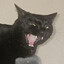 catswork