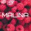 Malina