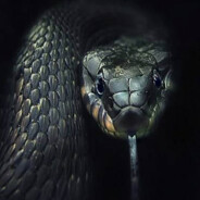 mmentality - steam id 76561199660719502