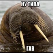 💜МОРЖИК💜